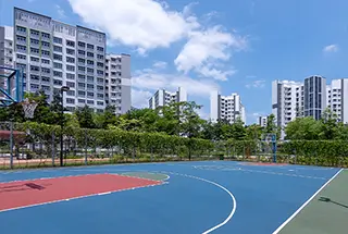Basketball Court